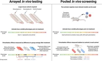 In vivo Pooled Screening: A Scalable Tool to Study the Complexity of Aging and Age-Related Disease